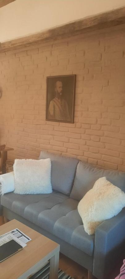 Penzion-Apartman U Johana Moravská Třebová エクステリア 写真