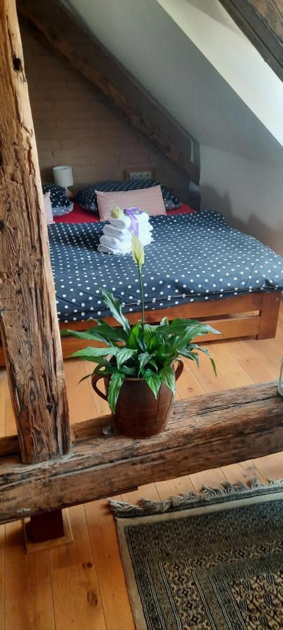 Penzion-Apartman U Johana Moravská Třebová エクステリア 写真