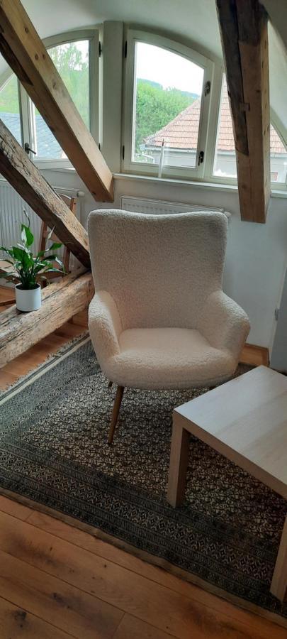 Penzion-Apartman U Johana Moravská Třebová エクステリア 写真