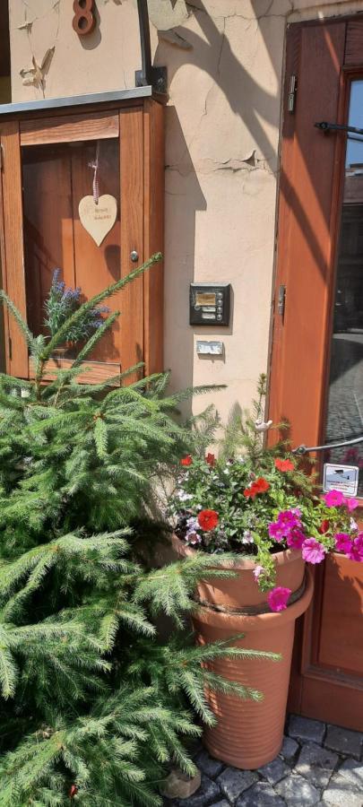 Penzion-Apartman U Johana Moravská Třebová エクステリア 写真
