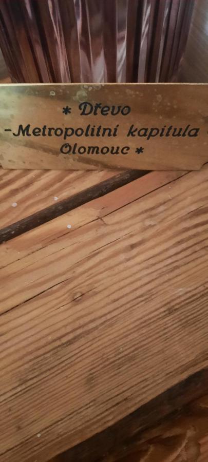 Penzion-Apartman U Johana Moravská Třebová エクステリア 写真