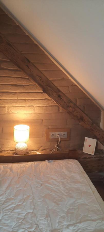 Penzion-Apartman U Johana Moravská Třebová エクステリア 写真