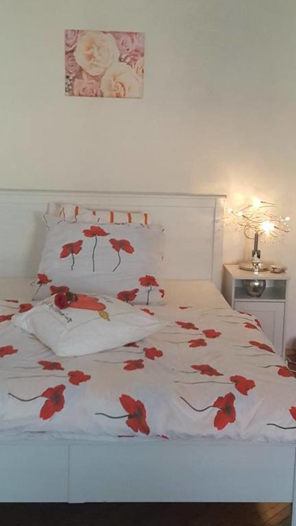 Penzion-Apartman U Johana Moravská Třebová エクステリア 写真